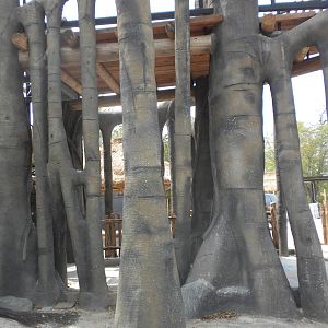 Giants of the Savanna - Wobble Tree