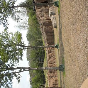 Giants of the Savanna - Tembo Udango (elephant waterhole)