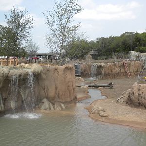 Giants of the Savanna - South habitat