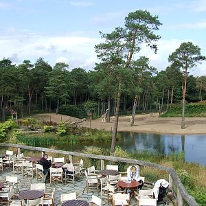 Savanna, Burgers Safari