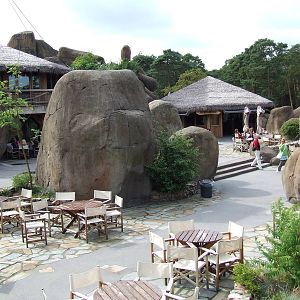 Restaurant, Savanna, Burgers Safari