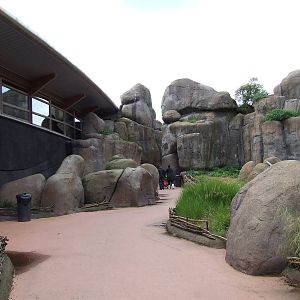 Rockwork, Savanna, Burgers Safari