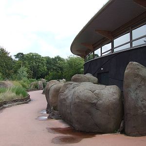 Path, Savanna, Burgers Safari