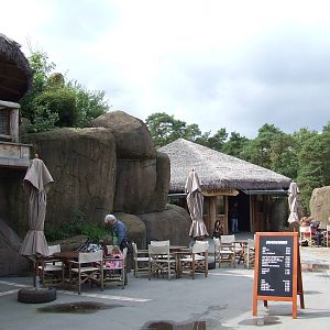 Restaurant, Savanna, Burgers Safari