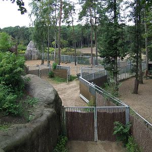 Savanna, Burgers Safari