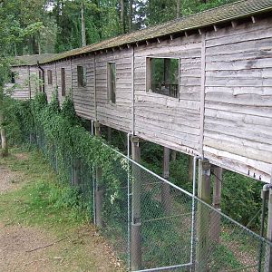Savanna, Burgers Safari