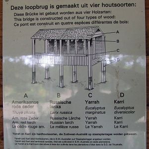 Savanna, Burgers Safari