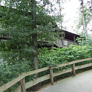 Savanna, Burgers Safari