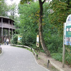 Savanna, Burgers Safari