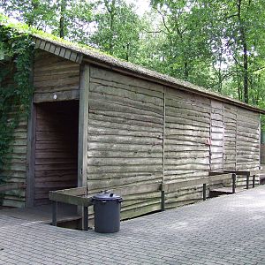 Carnivore Viewing Hut, Burgers Safari