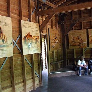 Carnivore Viewing Hut, Burgers Safari