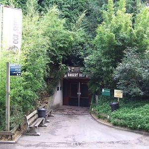 Entrance, Burgers Bush