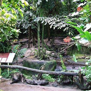 Otter exhibit, Burgers Bush