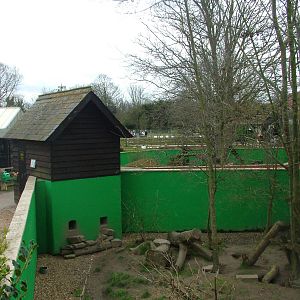 Small carnivore exhibits at Shepreth 05/04/10