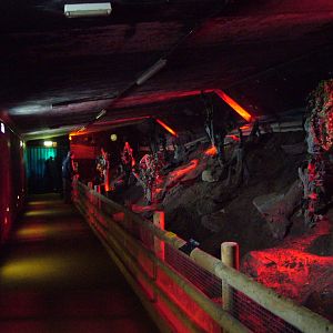 Noctural Walkthrough at Shepreth 05/04/10