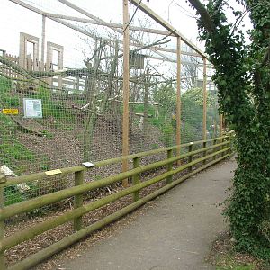 Owl aviaries at Shepreth 05/04/10