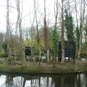 Lemur Island at Shepreth 05/04/10