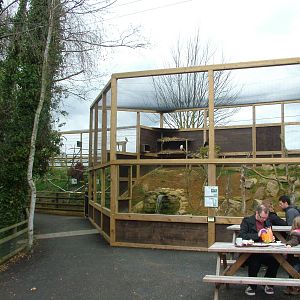 Ibis and Egret aviary at Shepreth 05/04/10