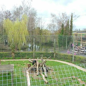 Tiger exhibit at Shepreth 05/04/10
