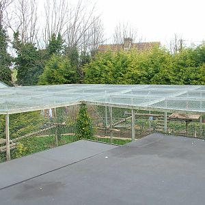 Puma exhibit at Shepreth 05/04/10