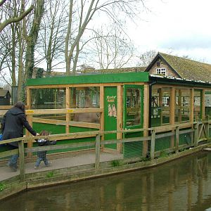 Meerkat exhibit at Shepreth 05/04/10