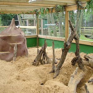 Meerkat exhibit at Shepreth 05/04/10