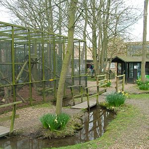 Native species area at Shepreth 05/04/10