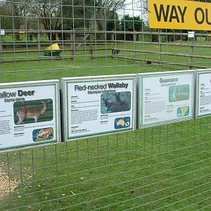 Mixed exhibit signage at Shepreth 05/04/10
