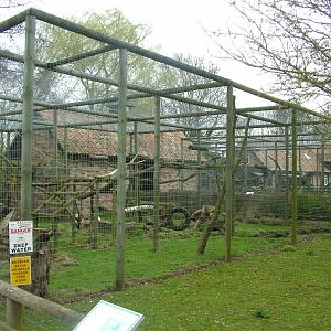 Crab-eating Macaque exhibit at Shepreth 05/04/10