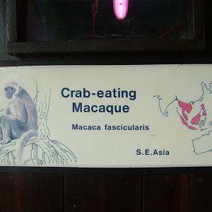 Nostalgic signage at Shepreth 05/04/10