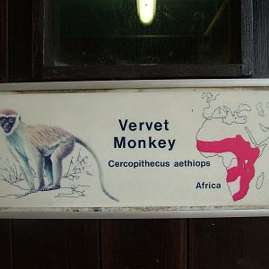 Nostalgic signage at Shepreth 05/04/10