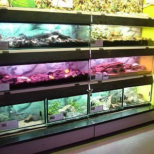 Invertebrate displays at Shepreth 05/04/10