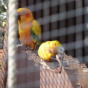 Tearing the House Down, Literally