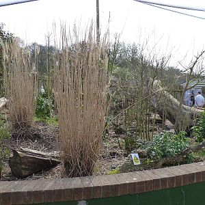 New Walk-Through Aviary