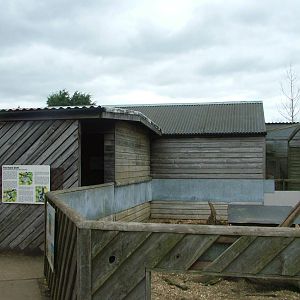 Sloth House and Meerkat exhibit at Hamerton 05/04/10