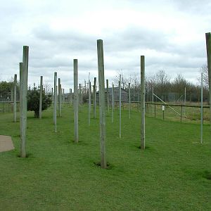 Poles at Hamerton 05/04/10