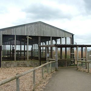 Tiger Barn at Hamerton 05/04/10