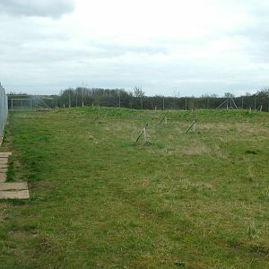 Maned Wolf paddock at Hamerton 05/04/10