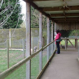 Animal viewing at Hamerton 05/04/10
