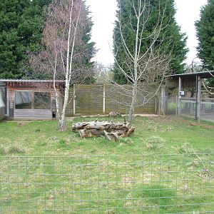 Aardwolf paddock at Hamerton 05/04/10