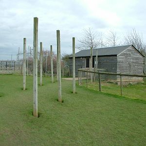 Reptile House at Hamerton 05/04/10