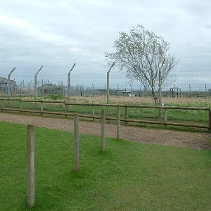 Cheetah exhibit at Hamerton 05/04/10