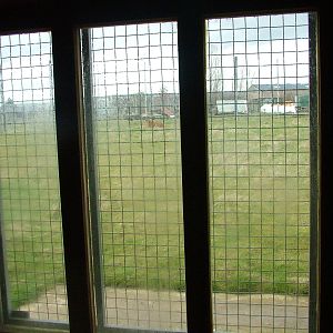 Tiger viewing at Hamerton 05/04/10