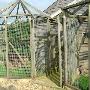 Oncilla exhibits at Hamerton 05/04/10