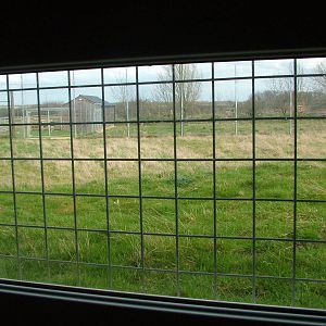 Jackal viewing at Hamerton 05/04/10