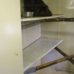 Binturong indoor area at Hamerton 05/04/10