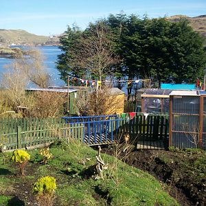 Isle of Kerrera Parrot sanctuary