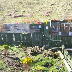 Isle of Kerrera Parrot sanctuary