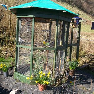 Isle of Kerrera Parrot sanctuary