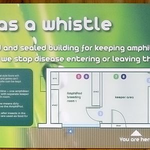 The Amphipod: hygiene sign and plan